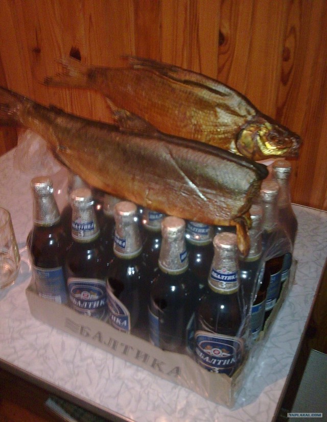 Холостяцкие заметки от Бомжыка