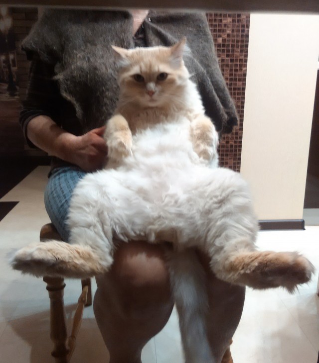 Здравствуйте