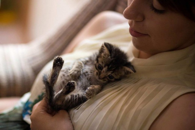 Девушки котовторника