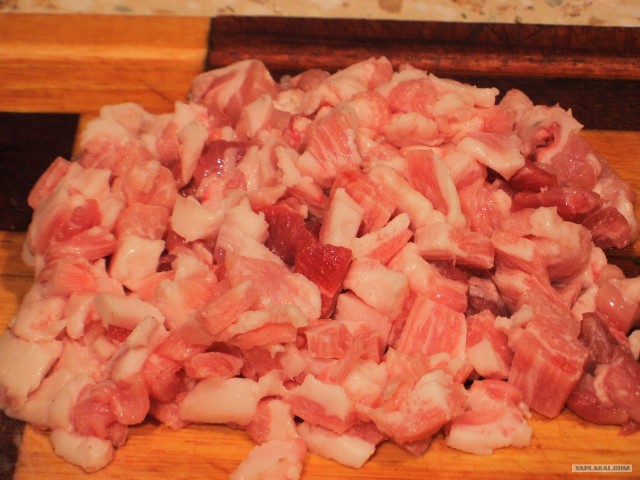 Пятничные посиделки на теплотрассе ©