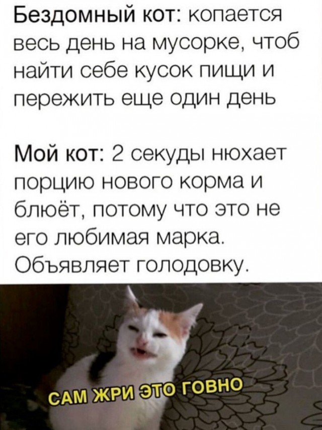 Так себе картинки 25.10.21