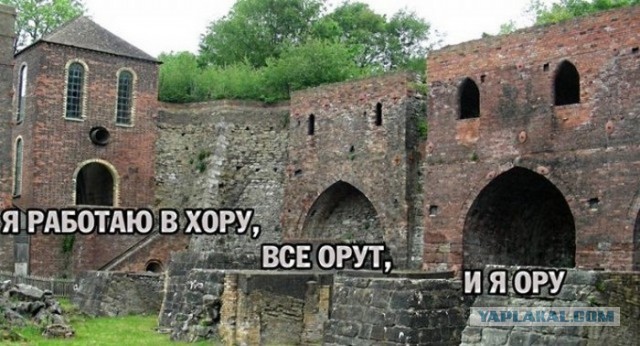 Утренняя подборка картинок и мемов - 5
