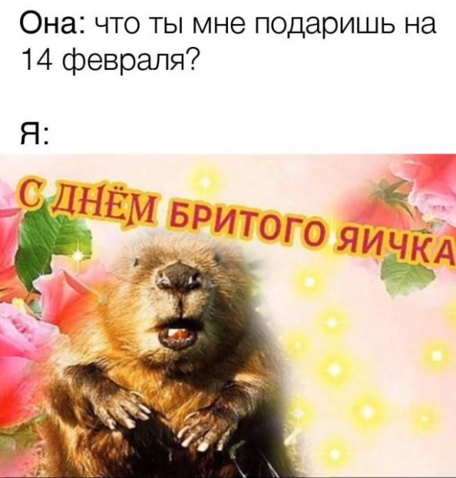 Картинки и мемы для настроения  -  9