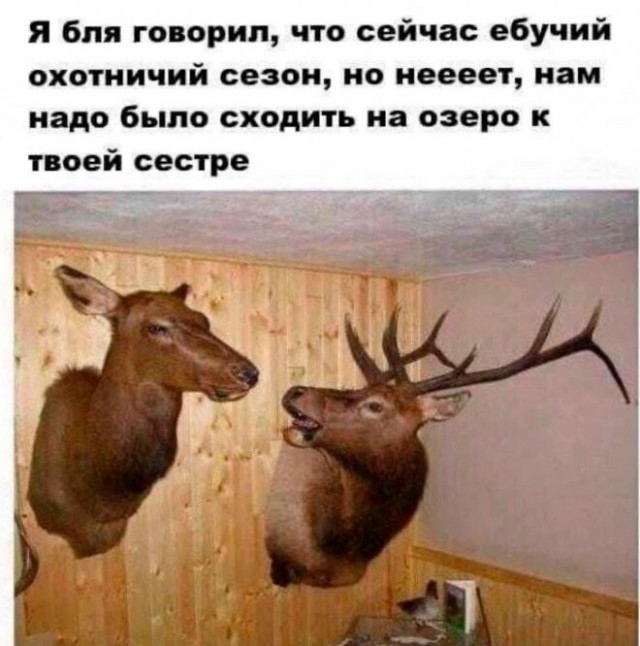 Так себе картинки 18.04.22