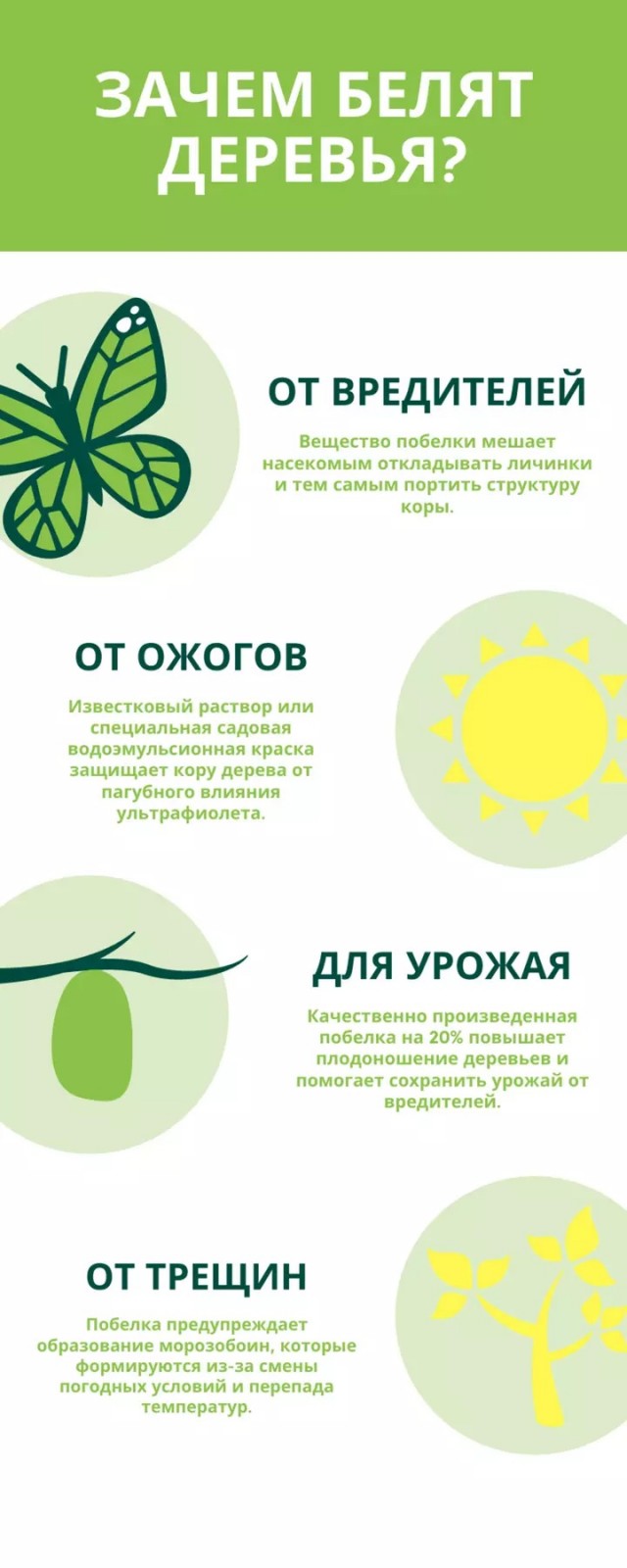 А в одном из дворов Екатеринбурга...