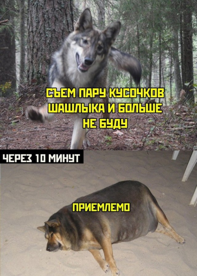 Картинки и мемы для настроения - 27