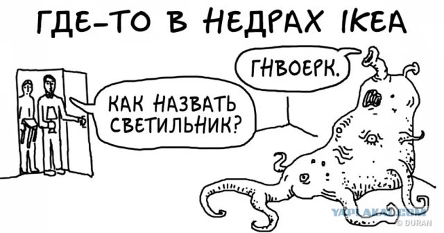 "Жалко у пчелки"