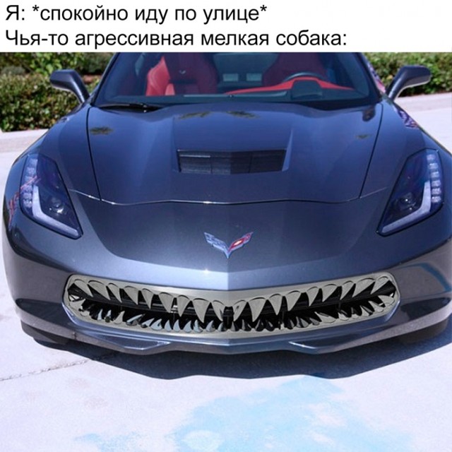 Картинки и мемы для настроения - 27