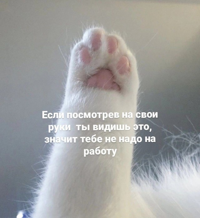Так себе картинки 18.09.22