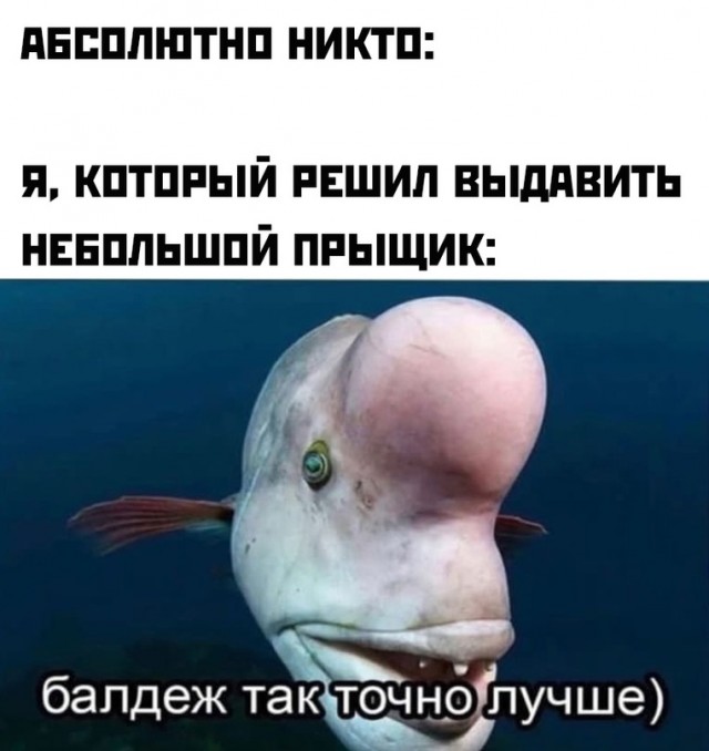 Немного картинок для настроения - 123