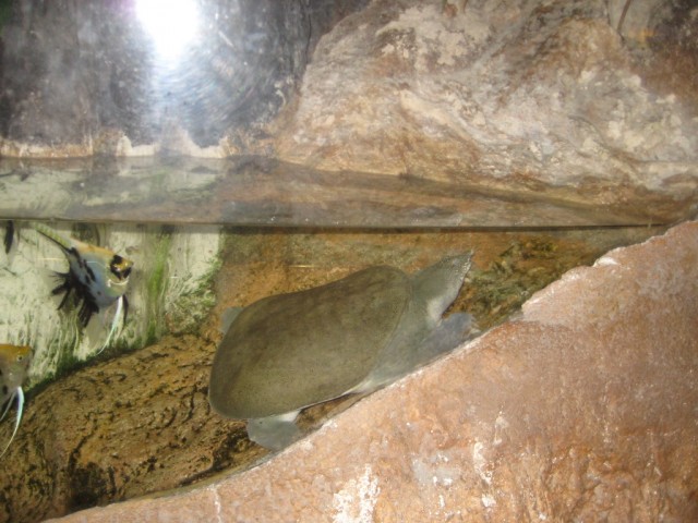 Испания - чудесная страна!