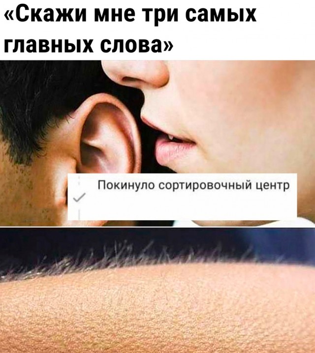 Так себе картинки 25.11.22