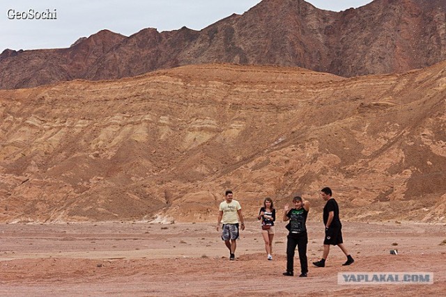 Синайские приключения. Шарм-эш-Шейх и окресности