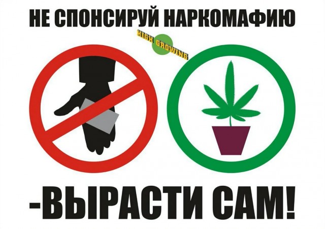 Прикольные и просто красивые картинки 29.11.2022
