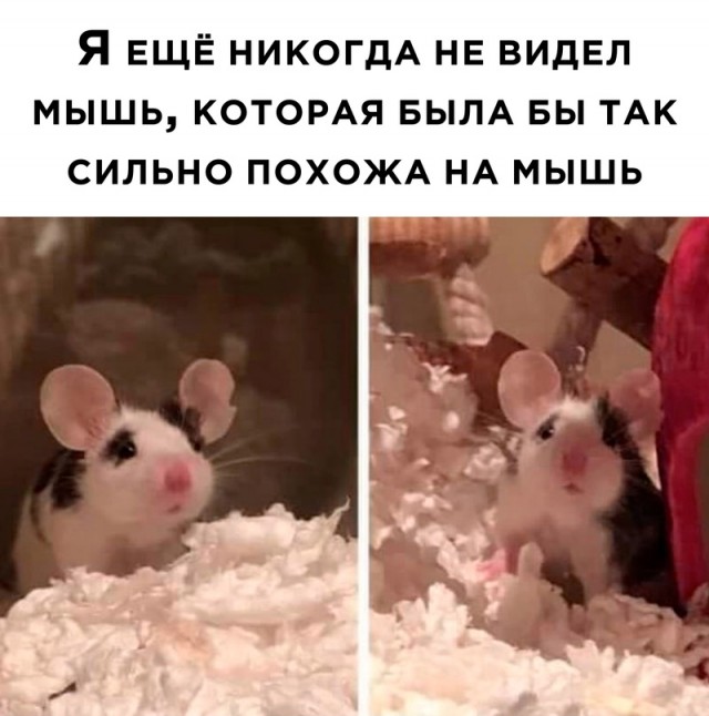 Немного картинок для настроения