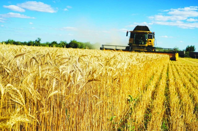 "Кому принадлежит украинская пшеница?" Статья газеты Zeitung...