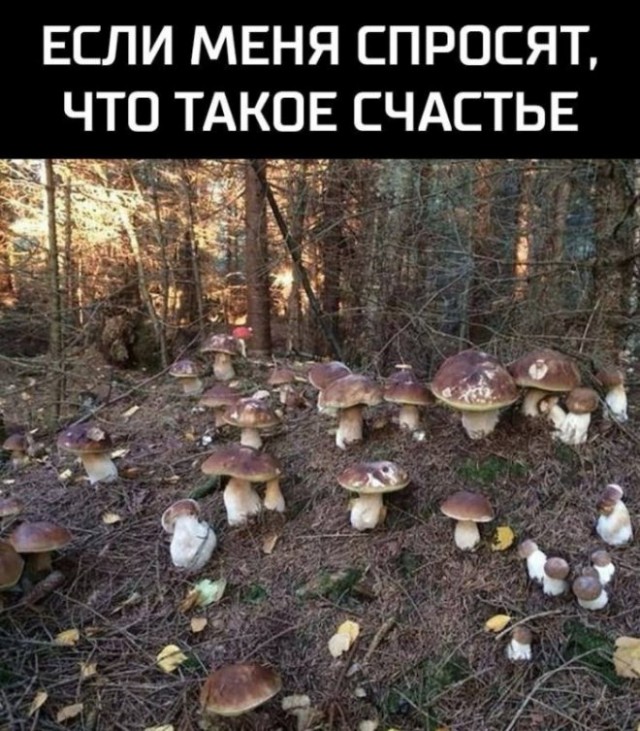 Картинки и мемы, всяко разно - 175