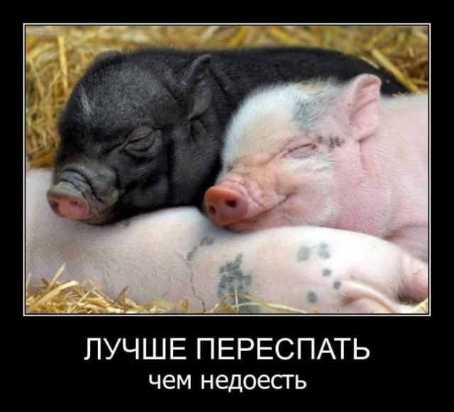 Мемасы из мемори