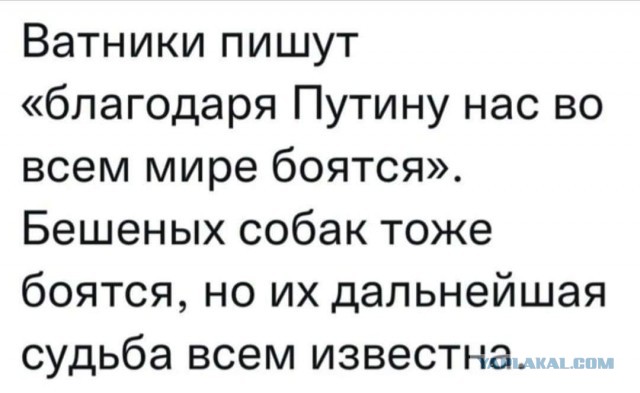 Путин вносит в Думу поправки в статьи об информировании Совета Европы о военном положении