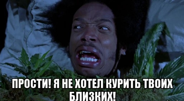 Палка пустила отростки
