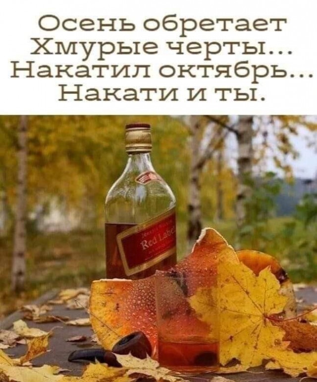 Alcohol 100%