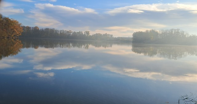 Красивые фото ЯПа