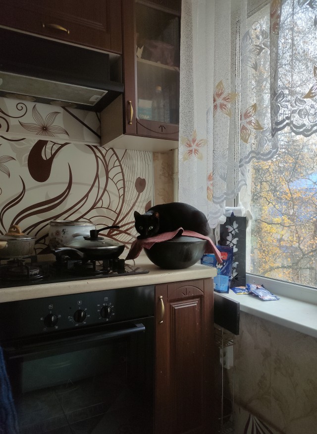 Дёмка вас желает видеть