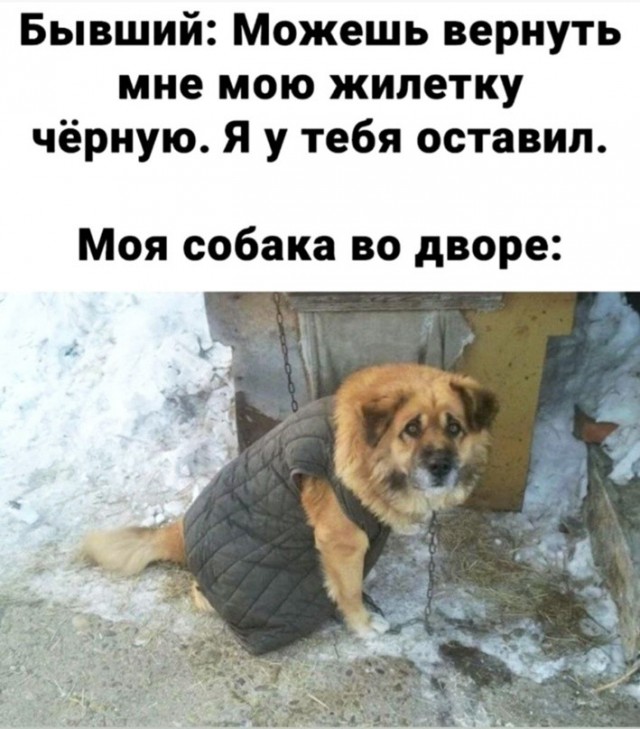 Мемчики и картинки для настроения и подумать