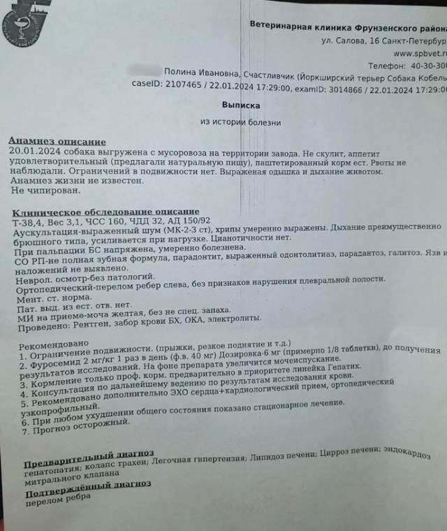 Йоркширского терьера обнаружили на мусорном заводе в Питере — за несколько минут до начала процесса измельчения