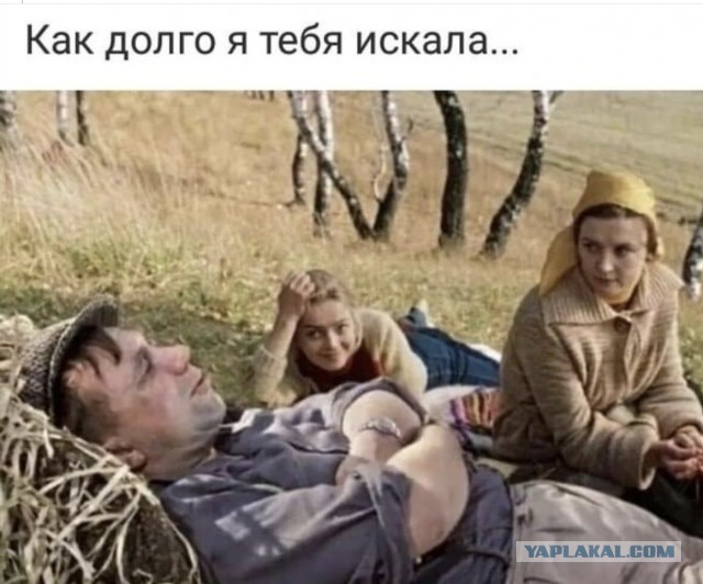 " – Как долго я тебя искала... – 15 суток"