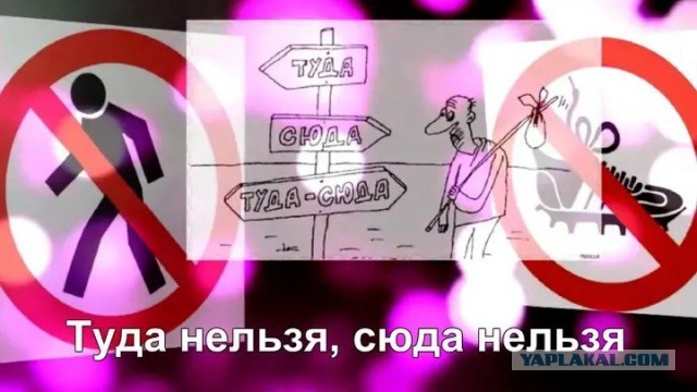 "Сделали из меня Пабло Эскобара": мужчину осудили на 3 года за увлечение кактусами
