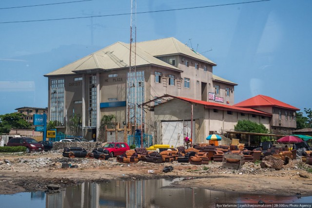 Только крокодилы спасут эту страну от мудаков!