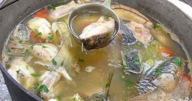 Извечный вопрос: уха или рыбный суп?
