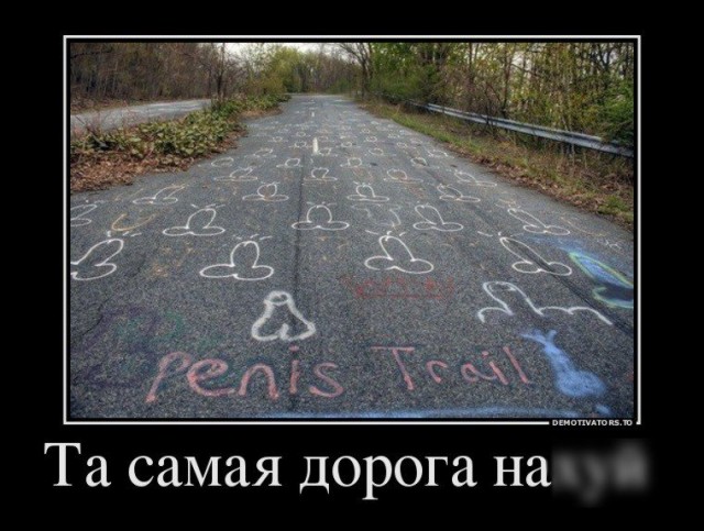 В Саратов, в лес, за грибами!