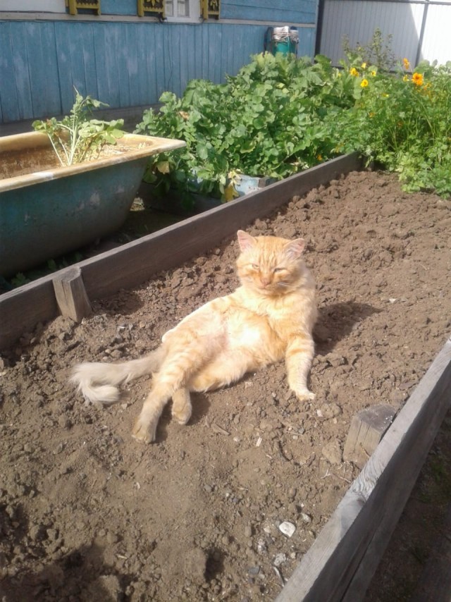 Идеальной фотографии не существу...