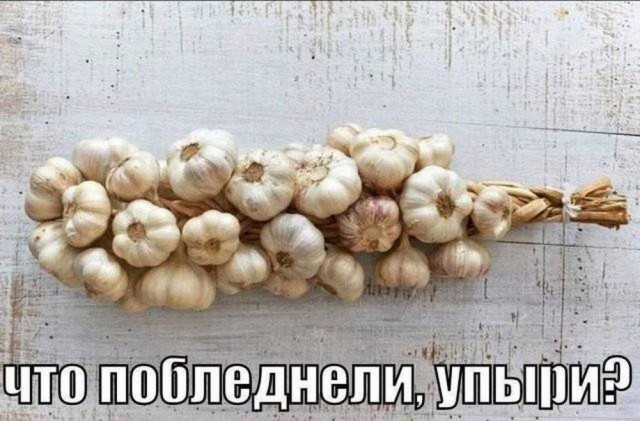Немного забавных картинок от 13.10.2024