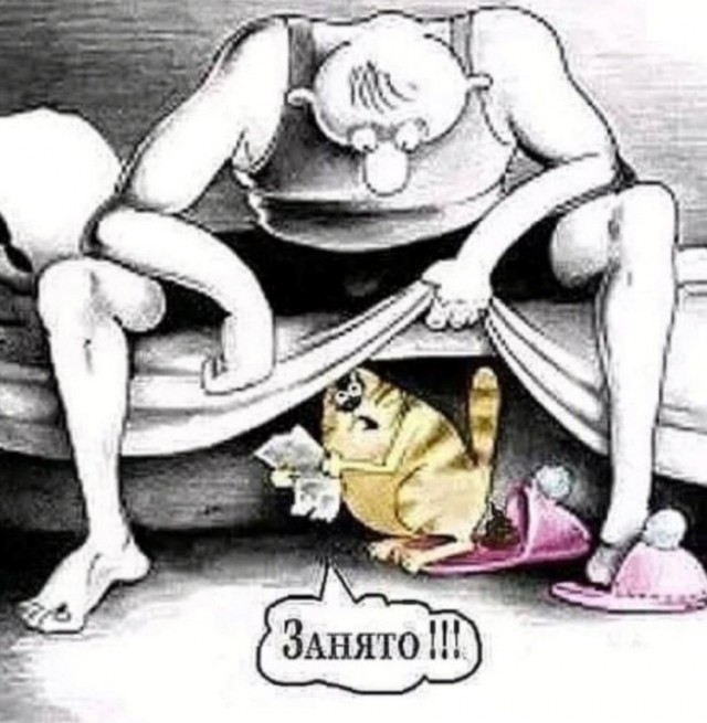 Так себе картинки 03.12.24