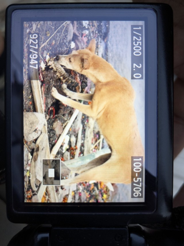 Бутан, таинственный Бутан