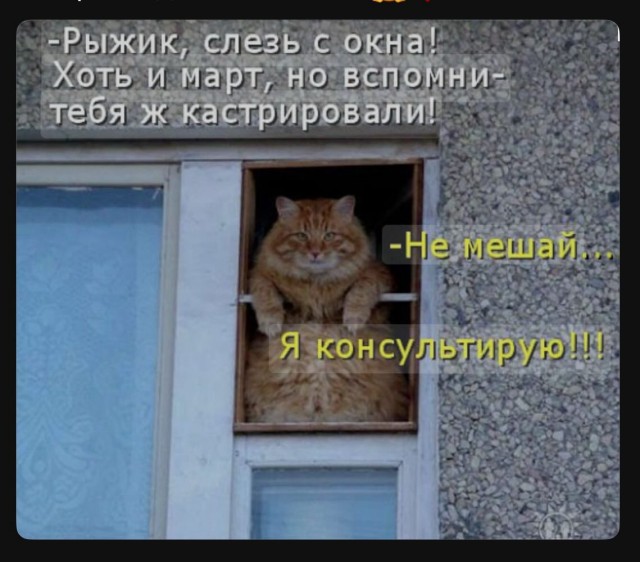 Завалялось тут случайно немного забавных картинок