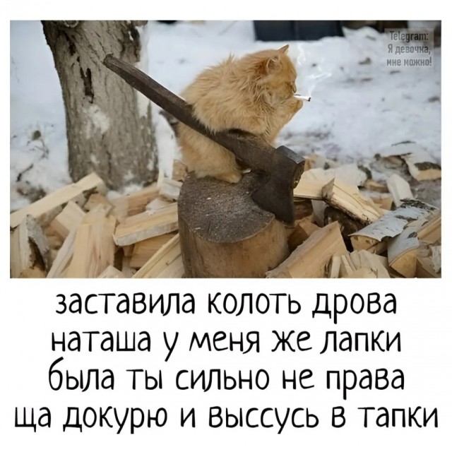 Завалялось тут случайно немного забавных картинок
