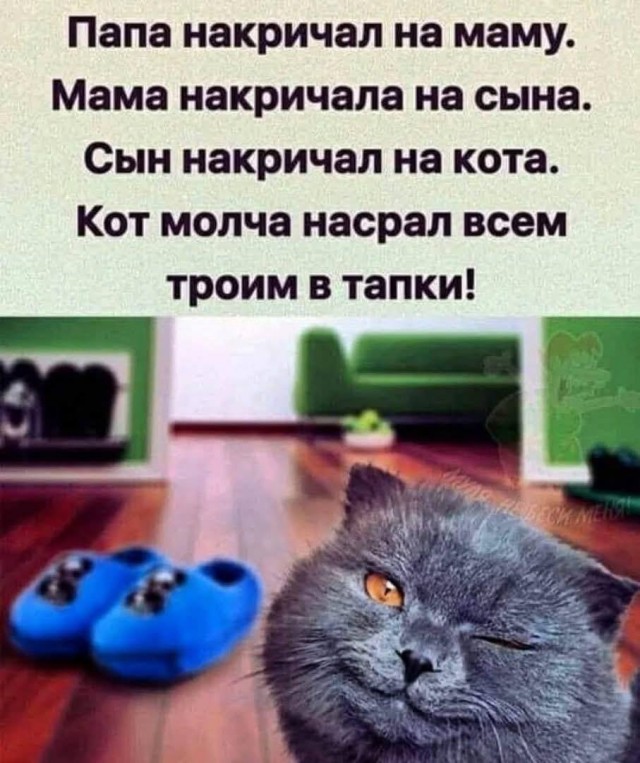 Картинки ниапчём и обо всём-2