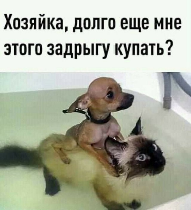 Так себе картинки 04.07.25