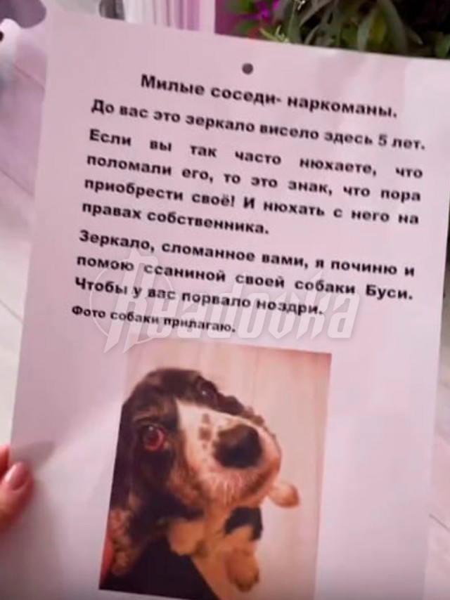 Наркоманы из Краснодара вечно воруют зеркало у гадалки для грязных дел — она и ее собачка нашли способ отбить им нюх