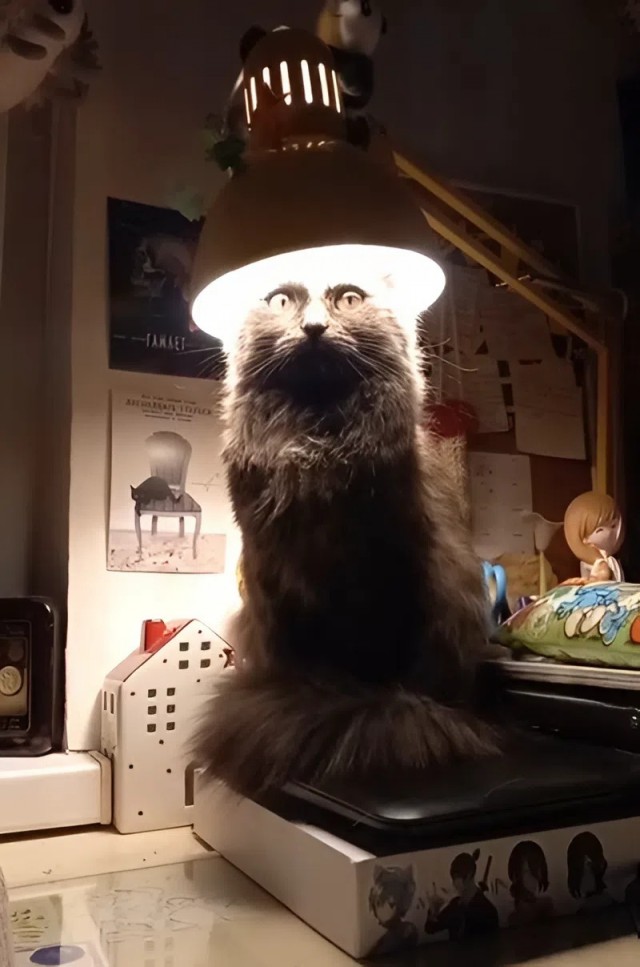 Просчитался, но где
