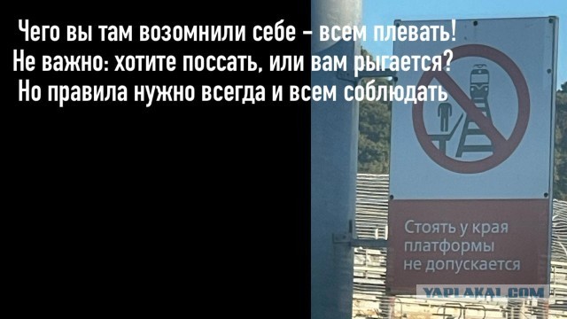 Веселые картинки в маленькую пятницу (27.08)