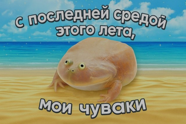 Ночная подборка ненормальных картинок !