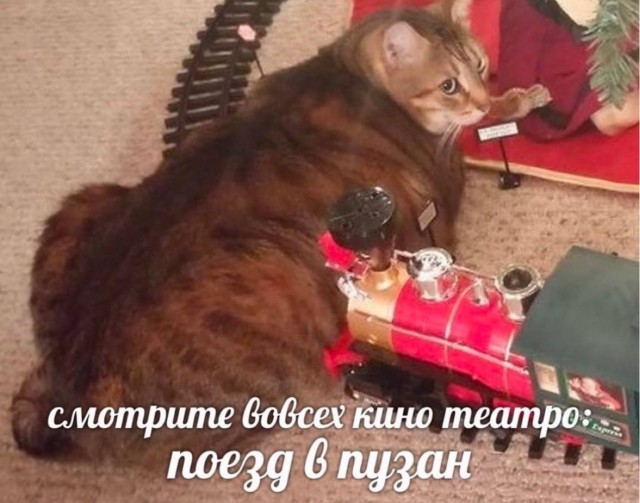 Весёлый полтишок 08.09.25