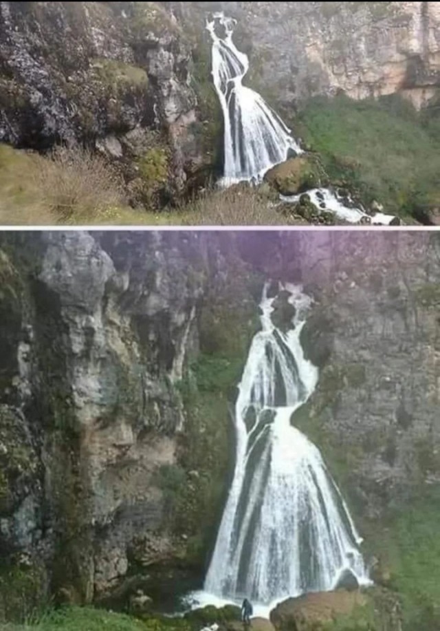 Просто лайтовая дичь