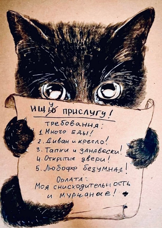 Прикольные и просто красивые картинки