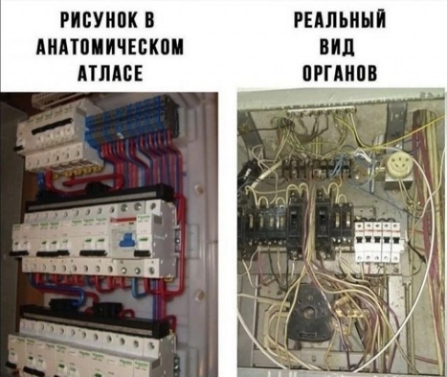 Веселые картинки в первый день зимы (01.12)